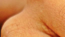crop