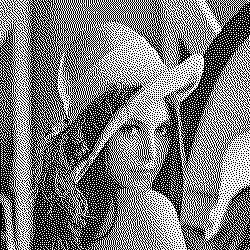 dither