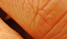crop